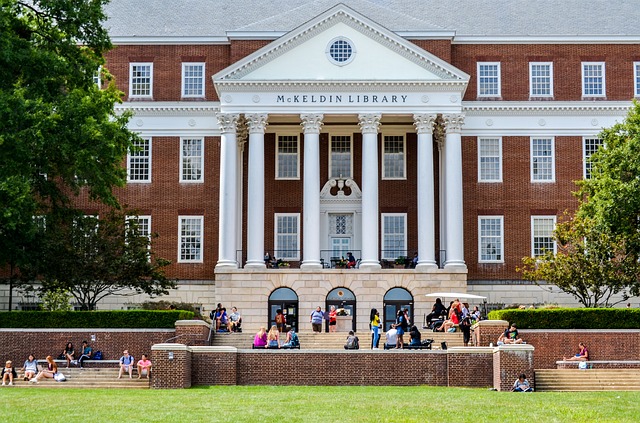 大学